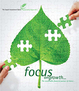 Sustainability Report 2012