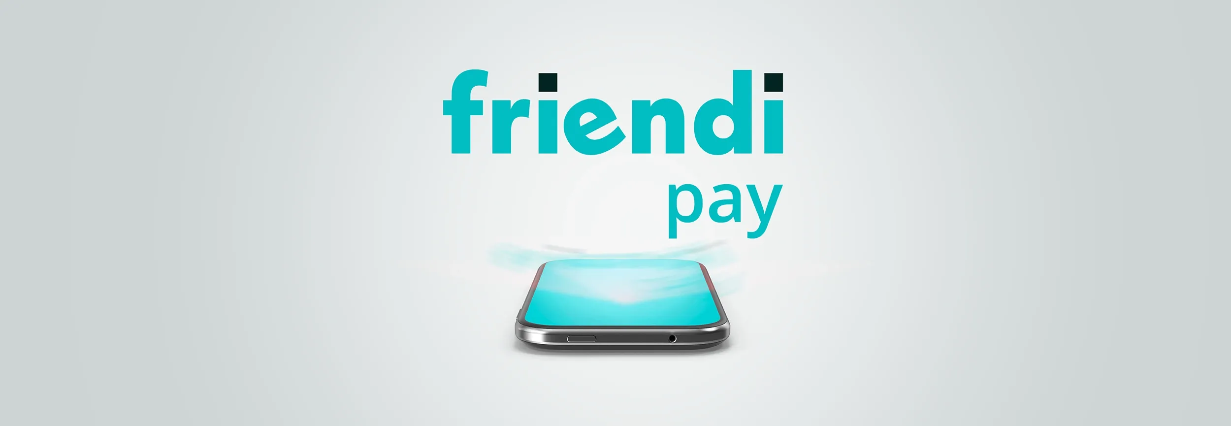 friendi-pay-anner-01_0
